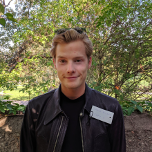 Mark Bergqvist