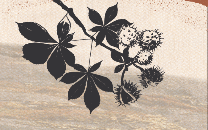 Chestnut Collage